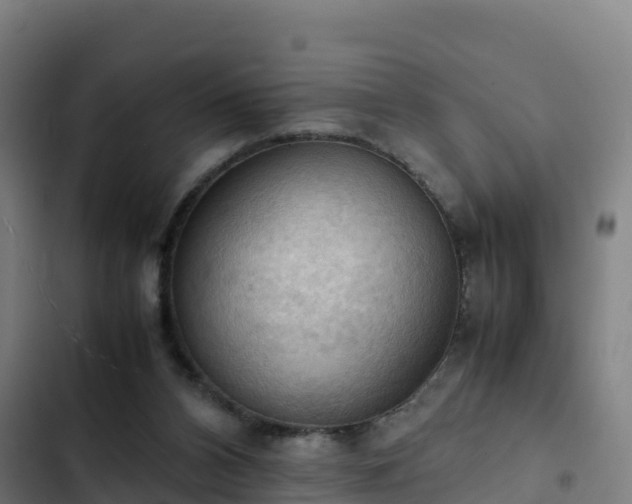 X0000103140112200808291348