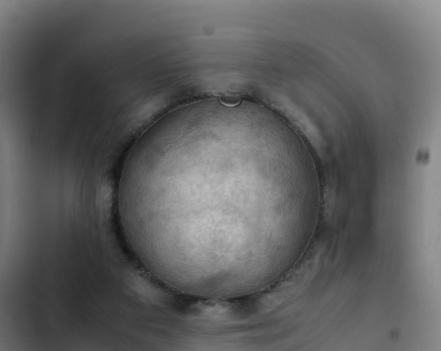 X0000103140113200808291348