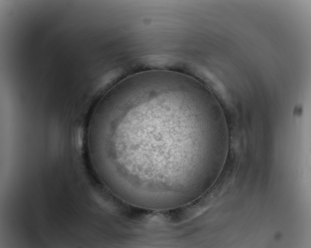 X0000103140115200808291348