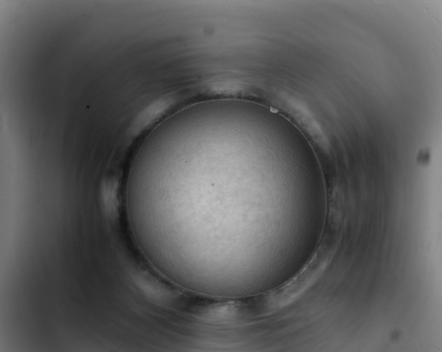 X0000103140116200808291348