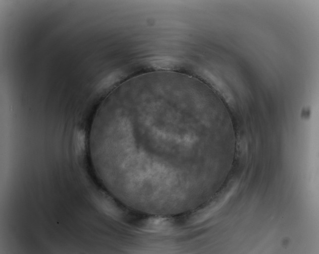 X0000103140117200808291348