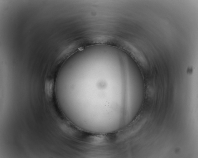 X0000103140118200808291348