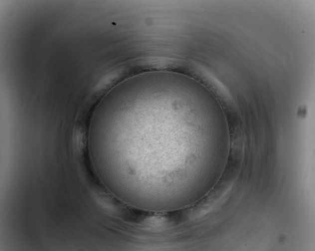 X0000103140119200808291348