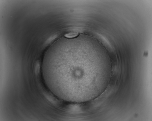 X0000103140120200808291348