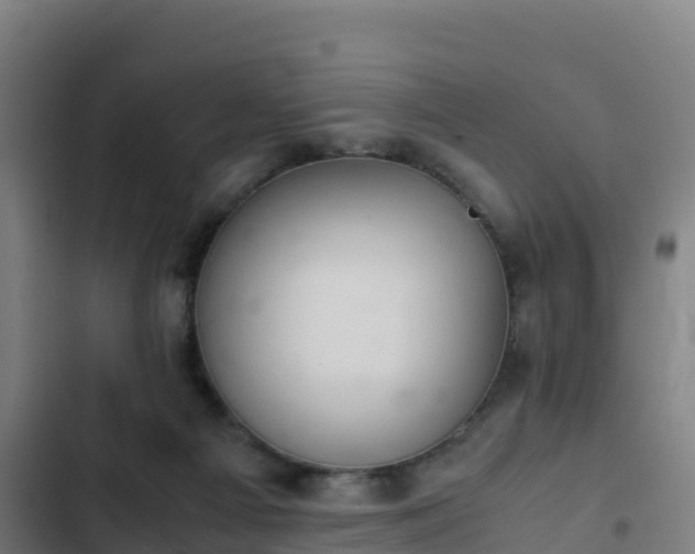 X0000103140121200808291348