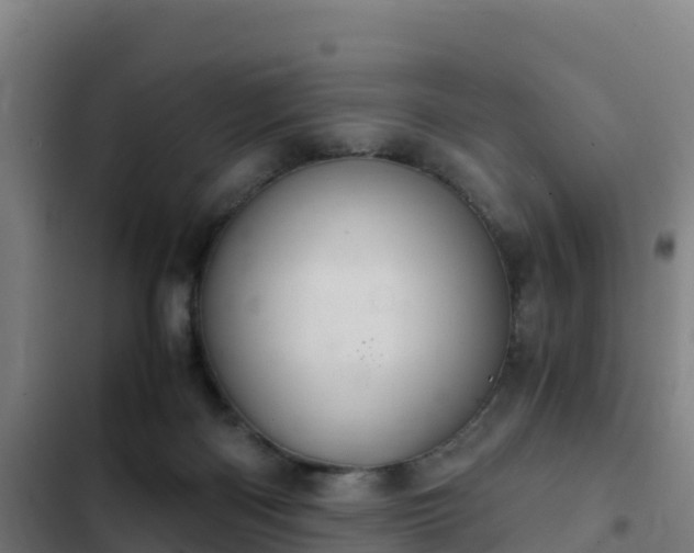 X0000103140122200808291348