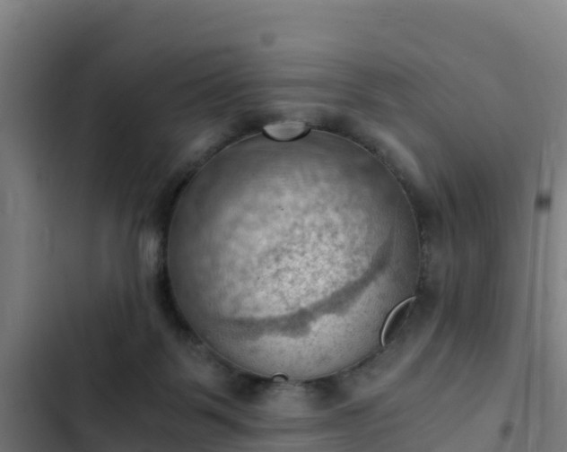 X0000103140123200808291348