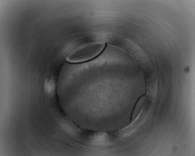 X0000103140124200808291348