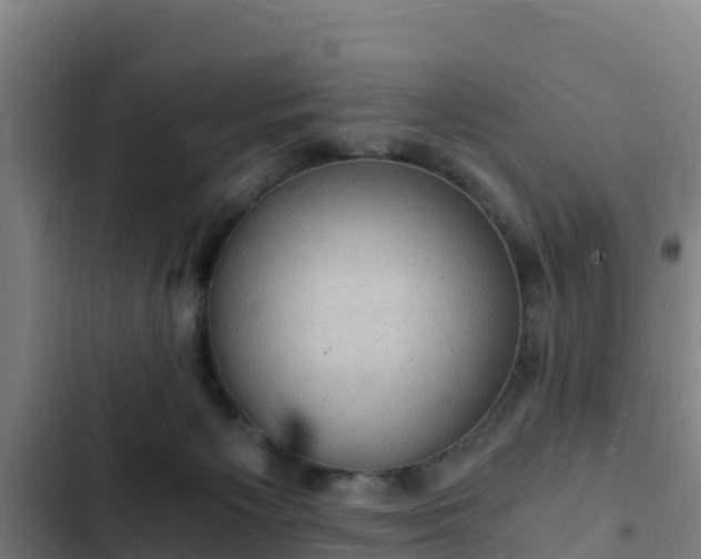 X0000103140125200808291348