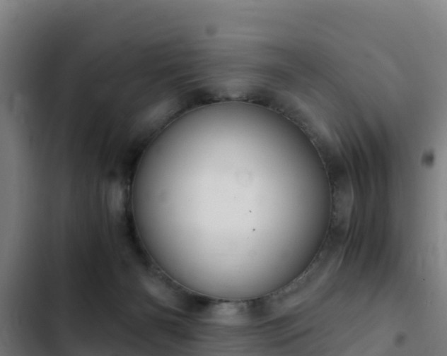 X0000103140126200808291348