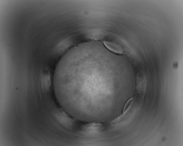 X0000103140128200808291348