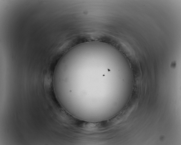 X0000103140129200808291348