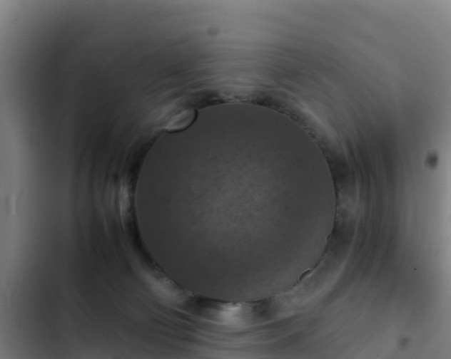 X0000103140130200808291348