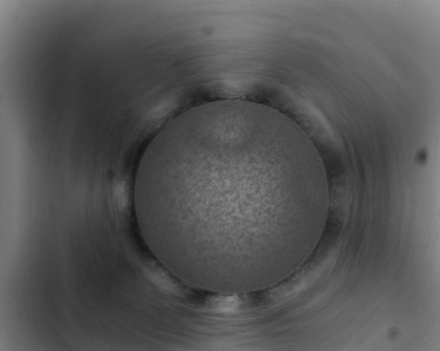 X0000103140131200808291348