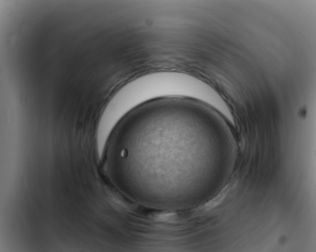 X0000103140132200808291348