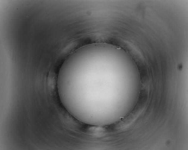 X0000103140133200808291348