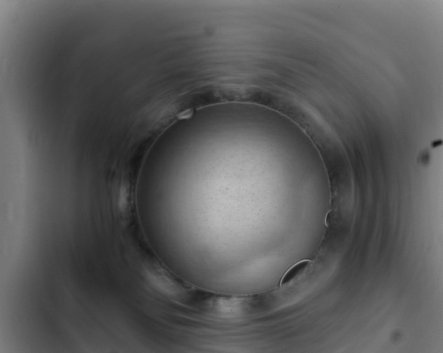 X0000103140134200808291348