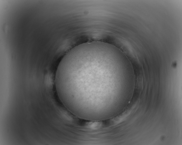 X0000103140135200808291348