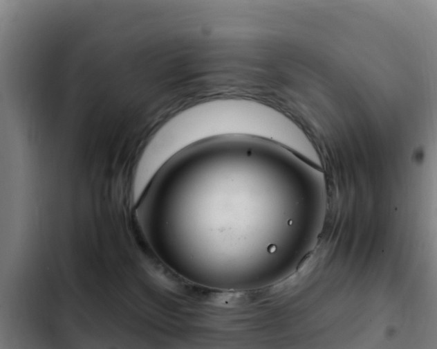 X0000103140136200808291348