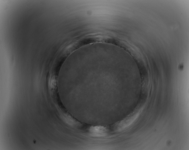 X0000103140137200808291348