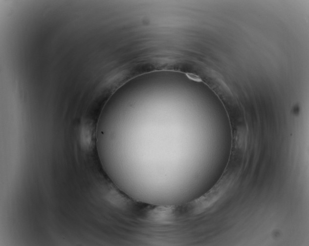 X0000103140138200808291348