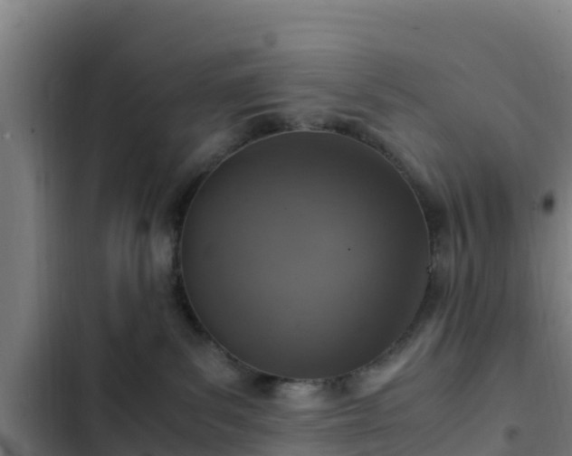 X0000103140139200808291348