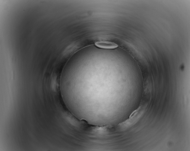 X0000103140140200808291348