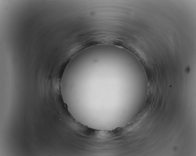 X0000103140141200808291348