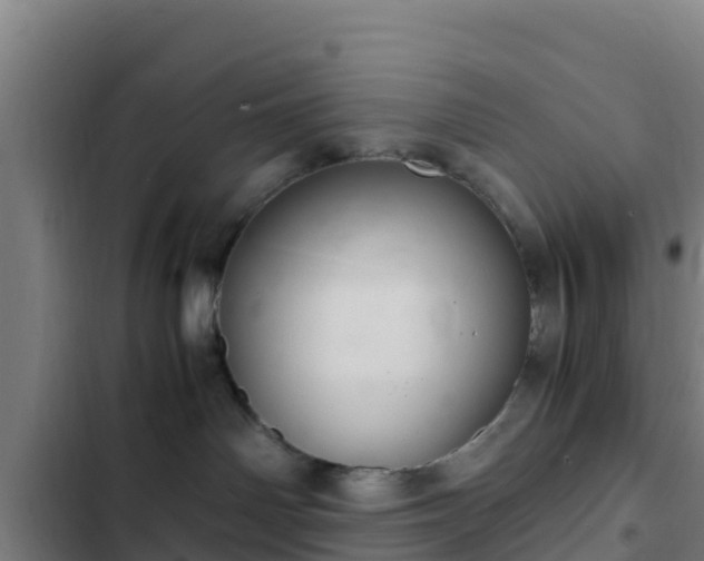 X0000103140142200808291348