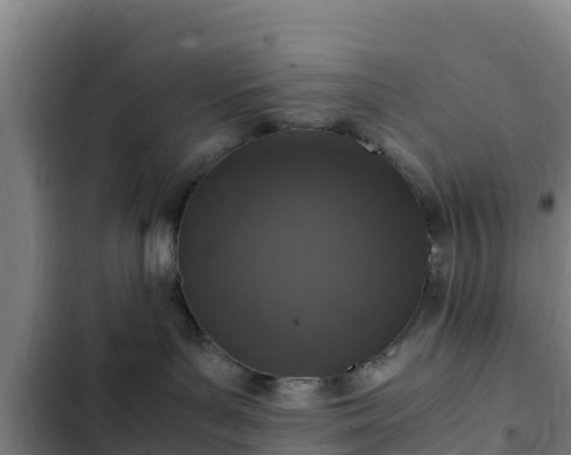 X0000103140143200808291348