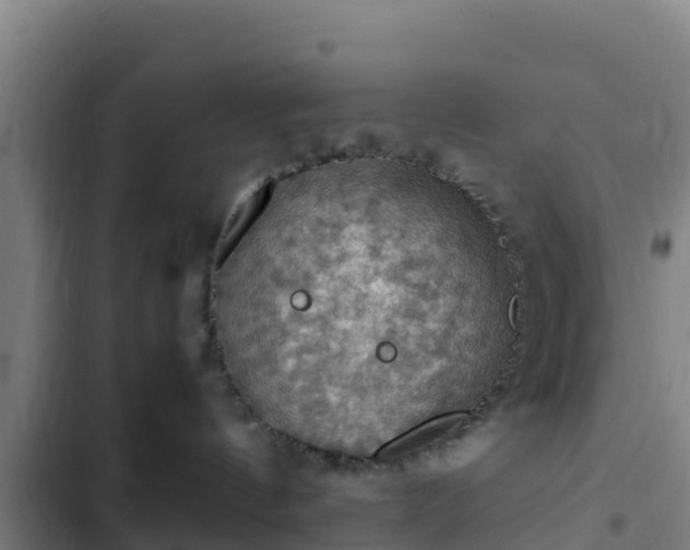 X0000103140144200808291348