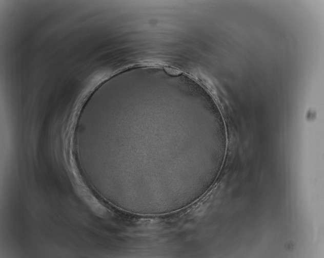 X0000103140145200808291347