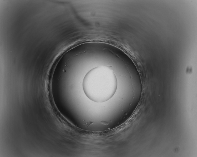 X0000103140146200808291347