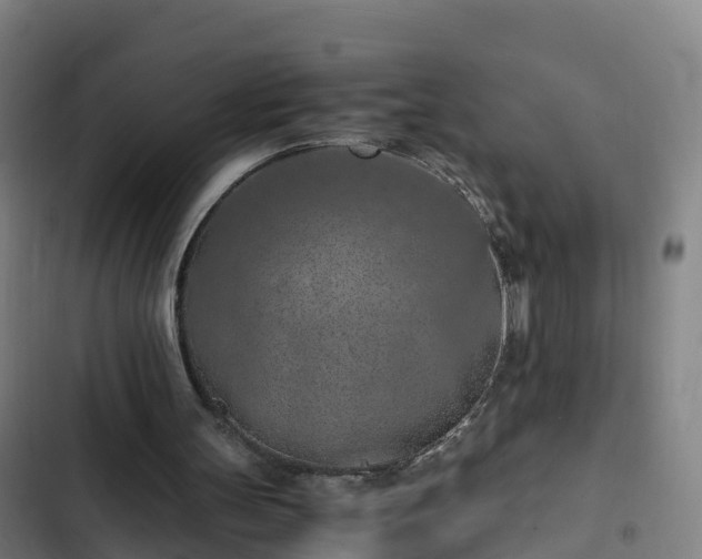 X0000103140147200808291347