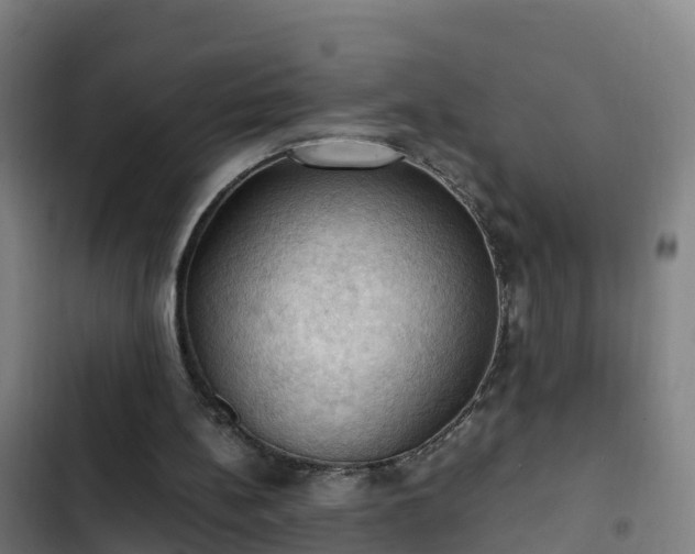 X0000103140148200808291347