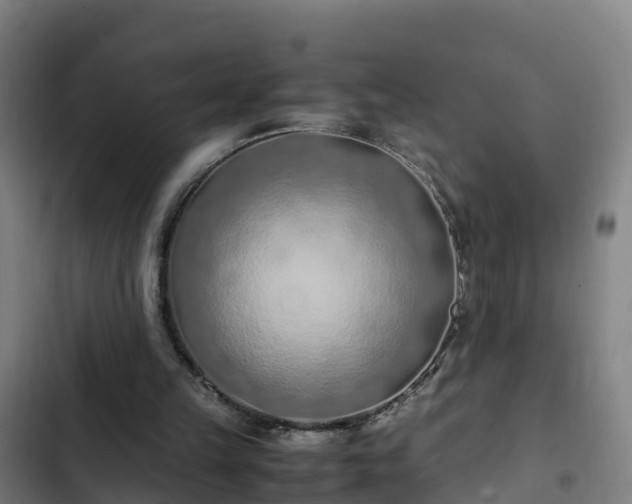 X0000103140149200808291347