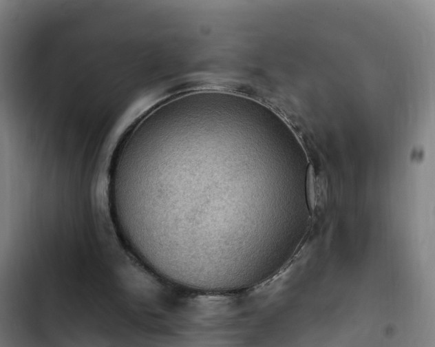 X0000103140150200808291347