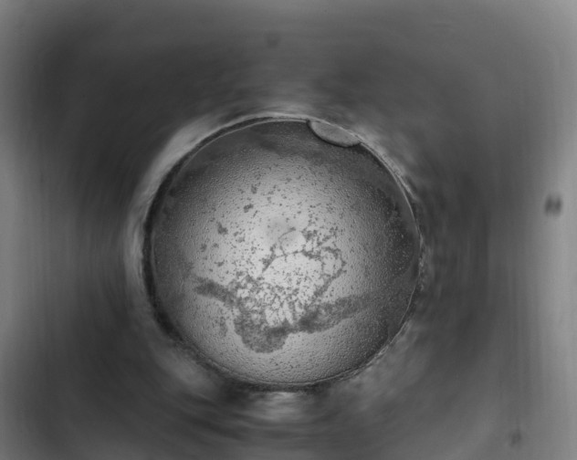 X0000103140151200808291347