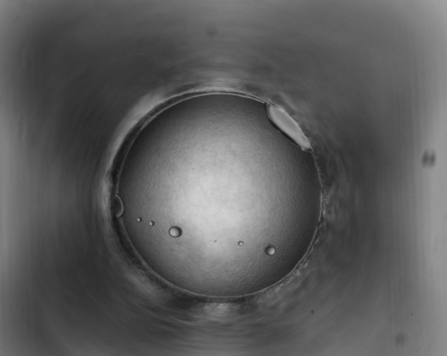 X0000103140152200808291347