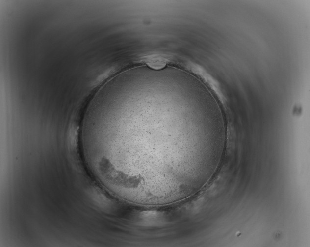 X0000103140153200808291347