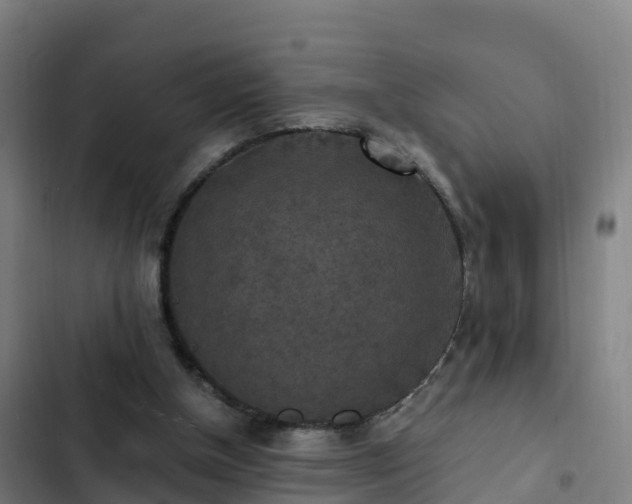 X0000103140154200808291347