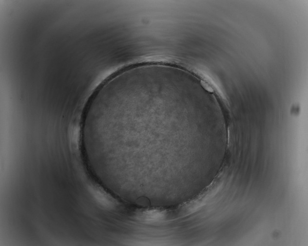 X0000103140156200808291347