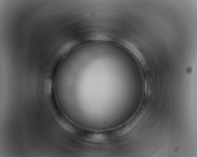 X0000103140157200808291347