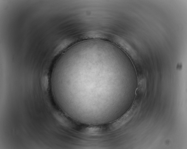 X0000103140158200808291347