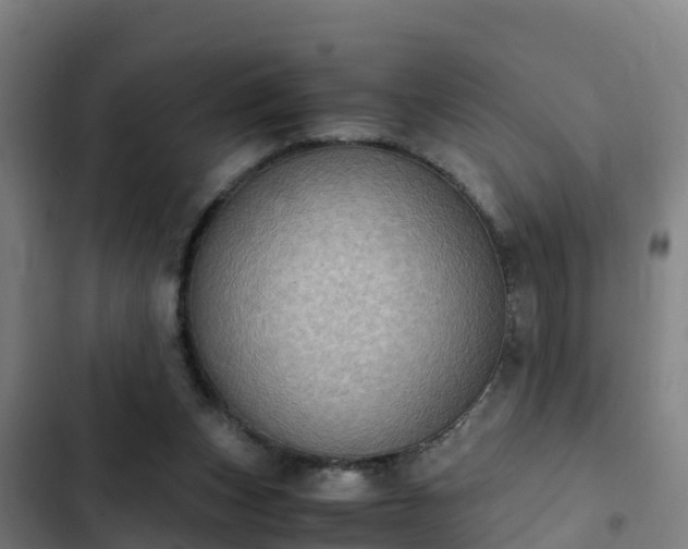 X0000103140159200808291347