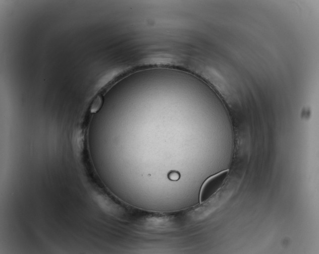 X0000103140160200808291347