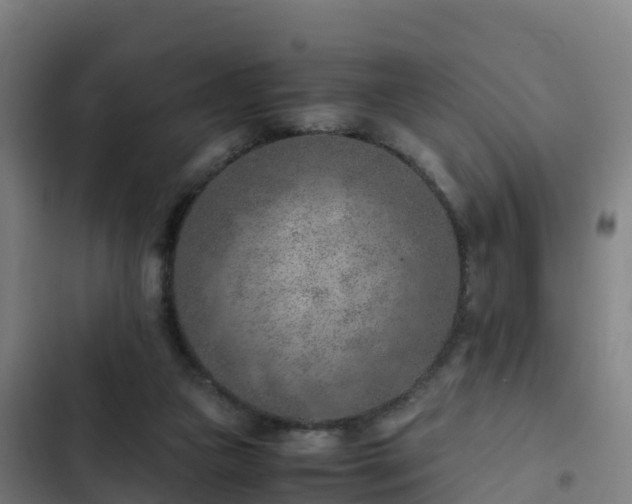 X0000103140161200808291347