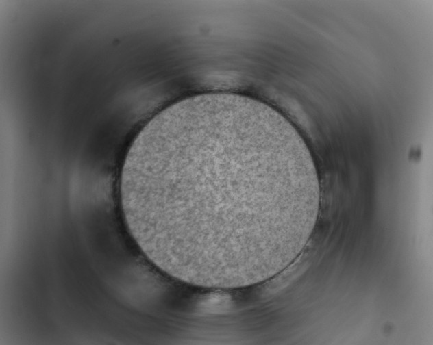 X0000103140162200808291347