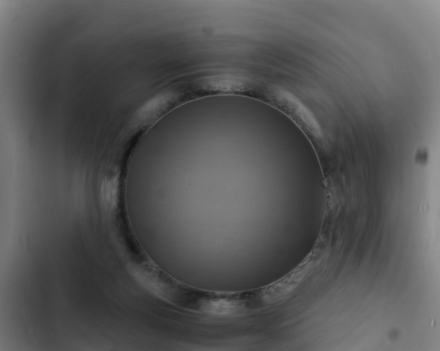 X0000103140163200808291347