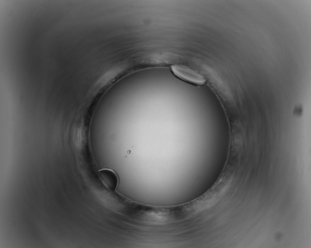 X0000103140164200808291347